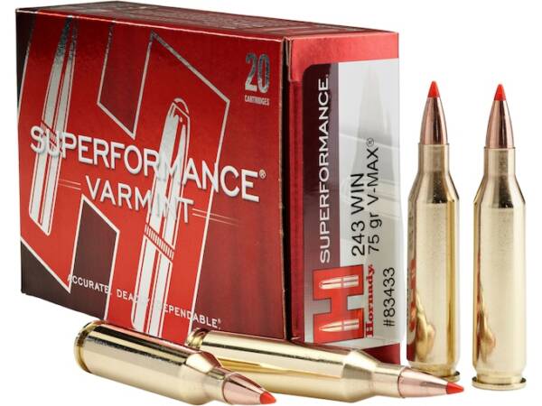 Hornady Superformance Varmint 243 Winchester Ammo 75 Grain Hornady V-Max Polymer Tip Box of 1000